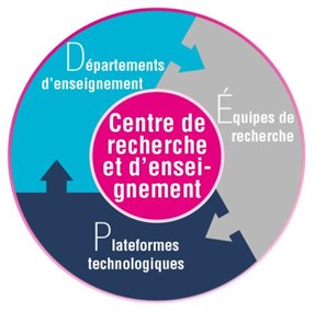 pieuvre-centres