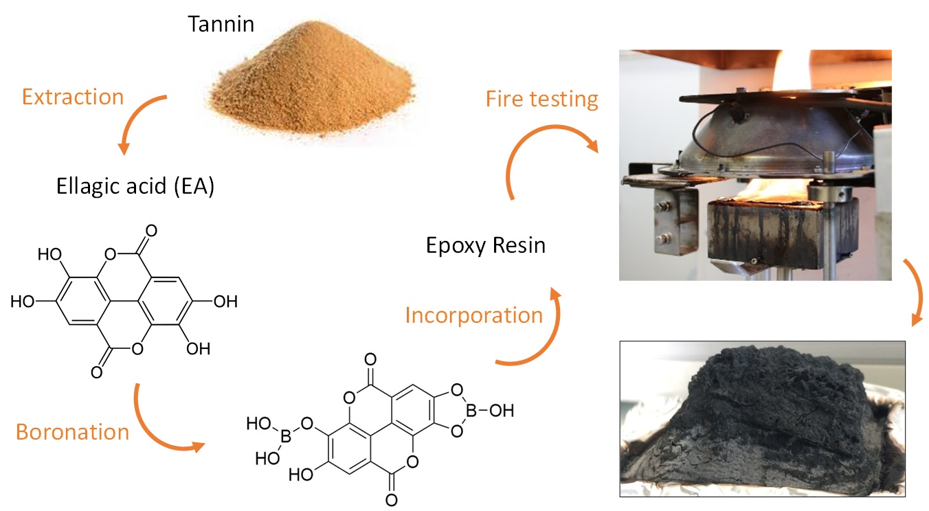 tannins-rf