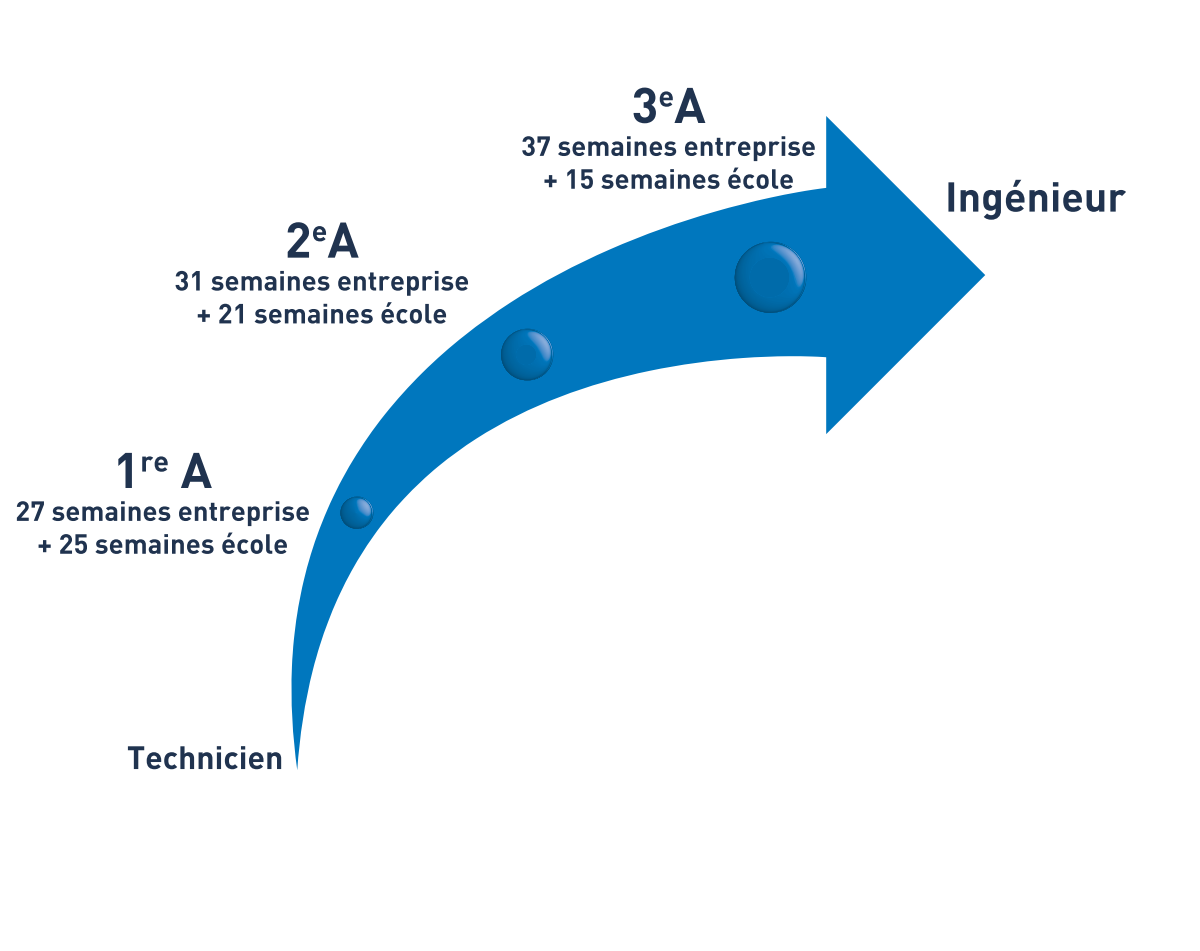 Fleche apprentissage