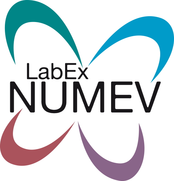 logo-labex-numev