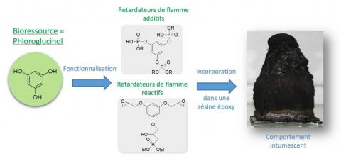 comportement intumescent d’une résine époxy contenant un retardateur de flamme biosourcé 