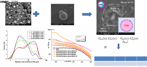 Comportement rhéologique en écoulement de mélanges de polymères nanochargés