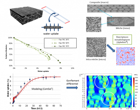 Evaluation expérimentale et modélisation prédictive du vieillissement sous chargement multi-physique du composite : modélisation statistique de la micro-structure à plusieurs échelles.