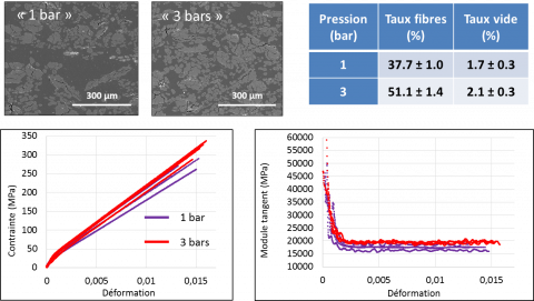 Impact du procédé de thermocompression (effet de la pression) sur la morphologie et la tenue mécanique d’un biocomposite à renfort de fibres végétales.