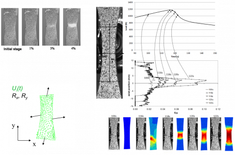 Modélisation mésoscopique du comportement à striction d’un polymère chargé de nono-tubes de carbone